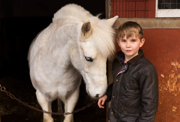 Felix, horse, portrait, stable,